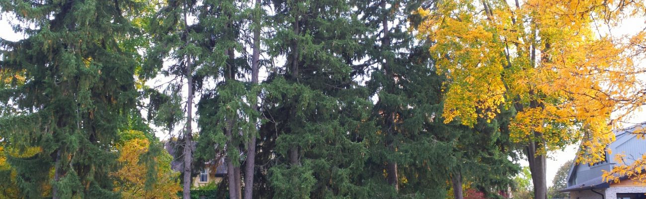 [Updated 2x] Special Civic Works Committee Meeting Set for March 15th, 2021